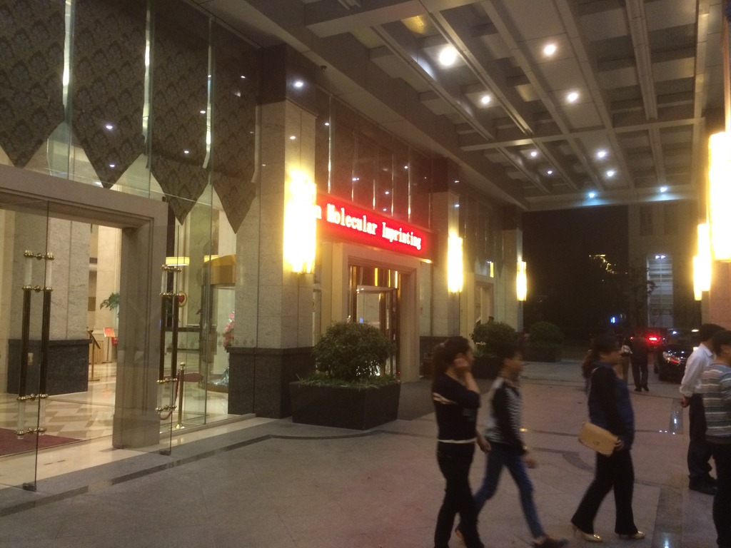 The MIP 2014 conference hotel